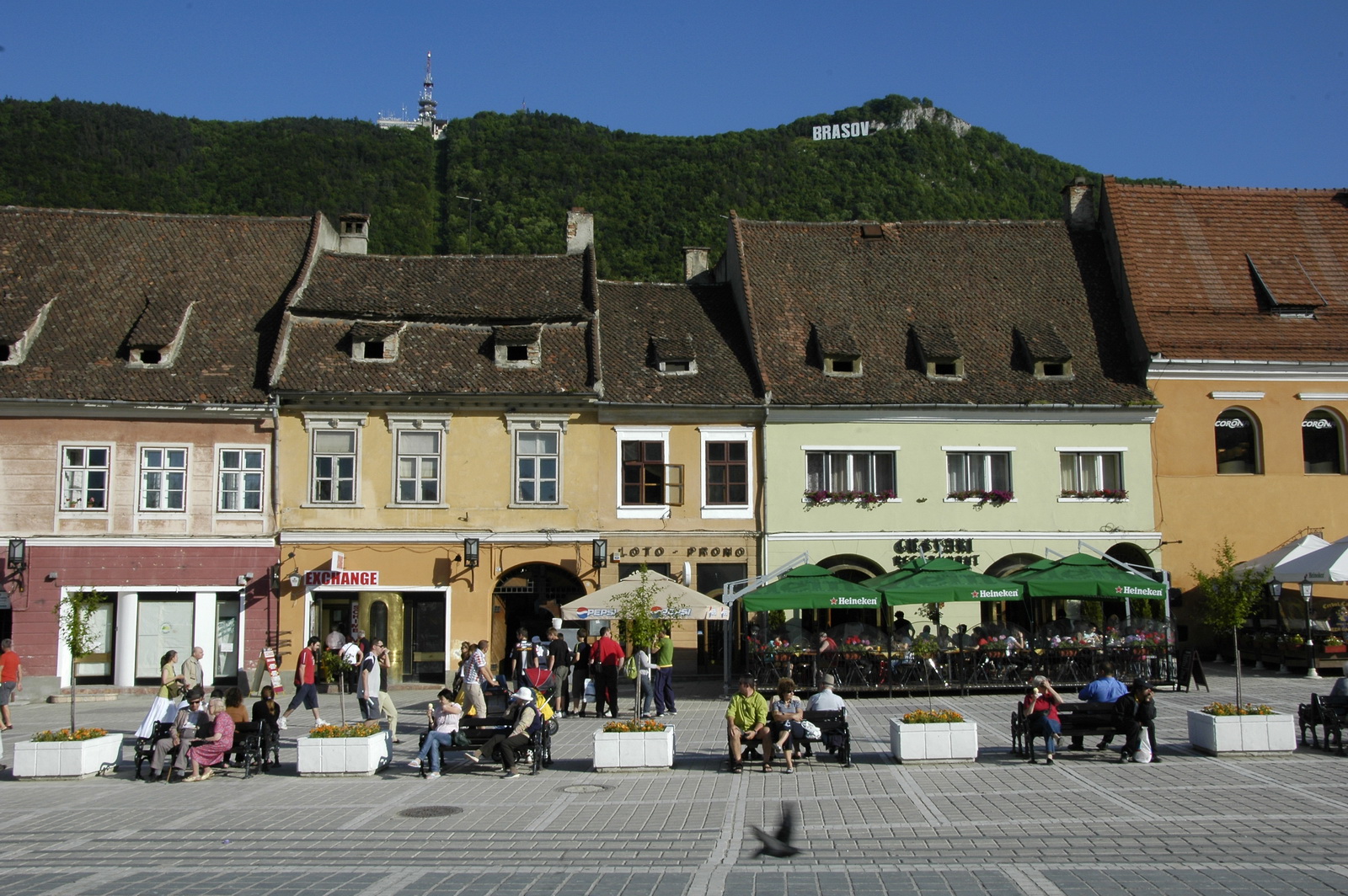 Brasov